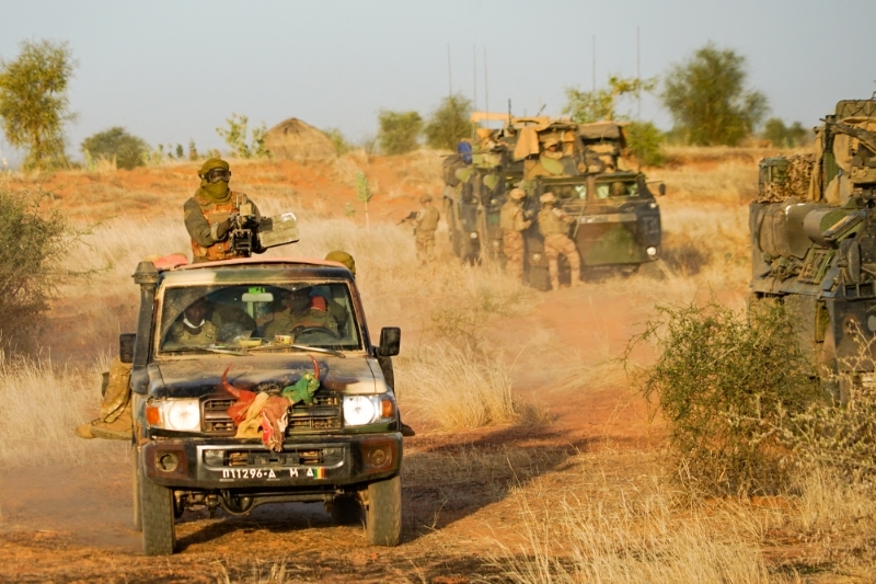 Mali : Les forces armées démantèlent plusieurs réseaux terroristes