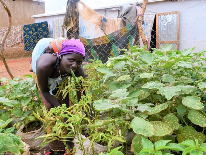 Burkina Faso : Des jardins hors sol pour les populations déplacées dans l’Est