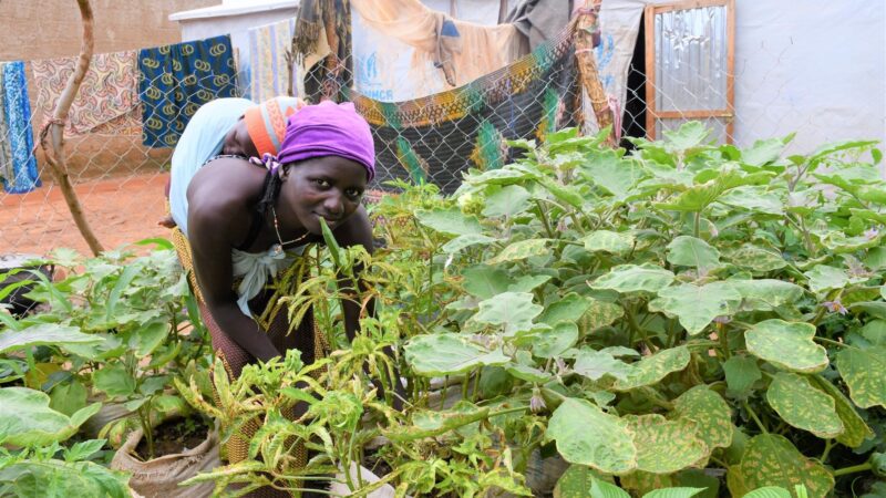 Burkina Faso : Des jardins hors sol pour les populations déplacées dans l’Est