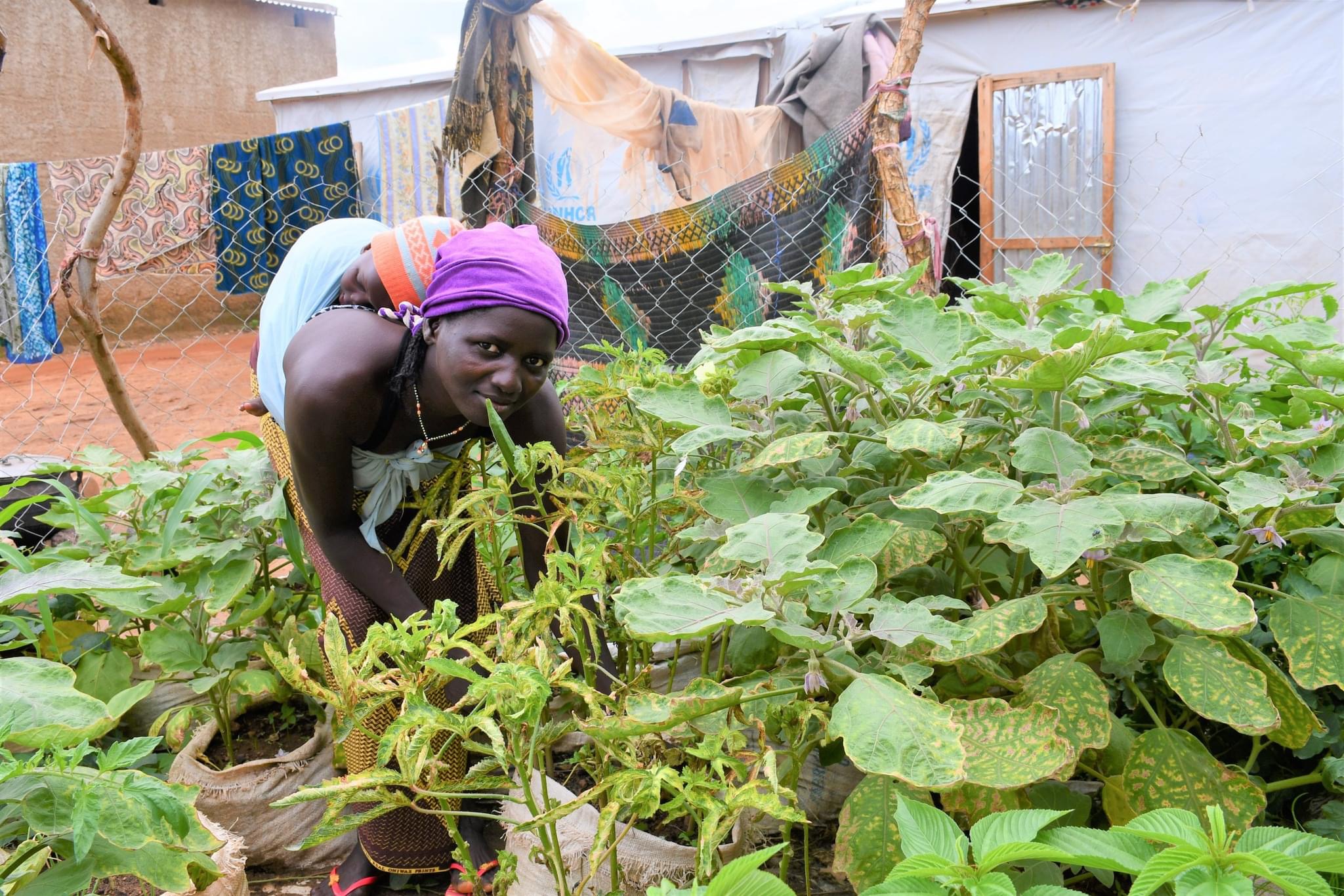 Burkina Faso : Des jardins hors sol pour les populations déplacées dans l’Est