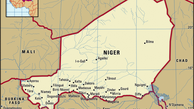 Croissance économique en Afrique subsaharienne : Le Niger tient la tête du peloton avec une prévision de 9,9