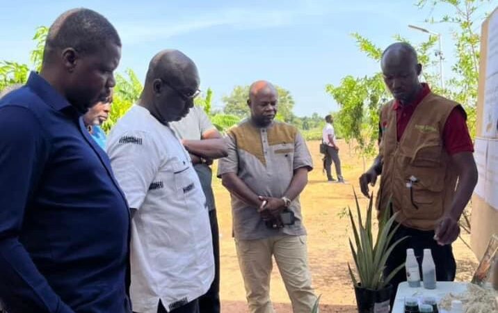 Culture de l’ananas au Burkina Faso : Des autorités en visite à la Ferme Djoda, pionnière de la culture