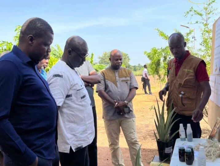 Culture de l’ananas au Burkina Faso : Des autorités en visite à la Ferme Djoda, pionnière de la culture