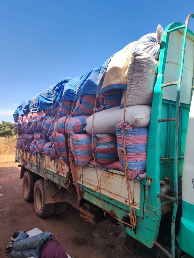 Lutte contre la contrebande : saisie de plus de 85 tonnes de noix et d’amandes de karité par les douanes