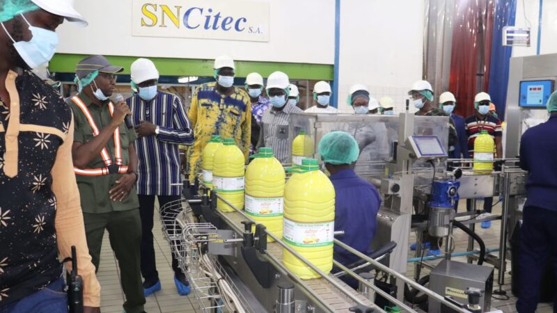 Bobo-Dioulasso : Une délégation gouvernementale visite la SN Citec
