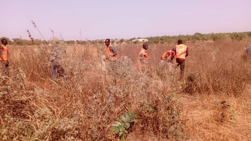 FONCIER : Arrachage de bornes irrégulièrement implantées au secteur 26 de Bobo-Dioulasso