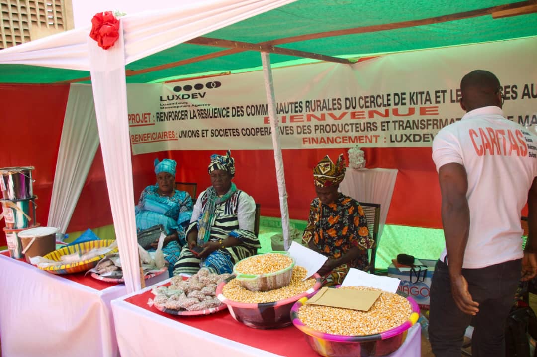 Mali/19e Édition de la Bourse Nationale de céréales : Les Acteurs de la filière agricole fortement mobilisés
