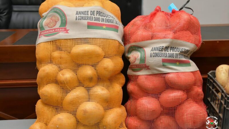Burkina Faso : Le prix minimum du kilogramme de pomme de terre fixé à 300 F CFA