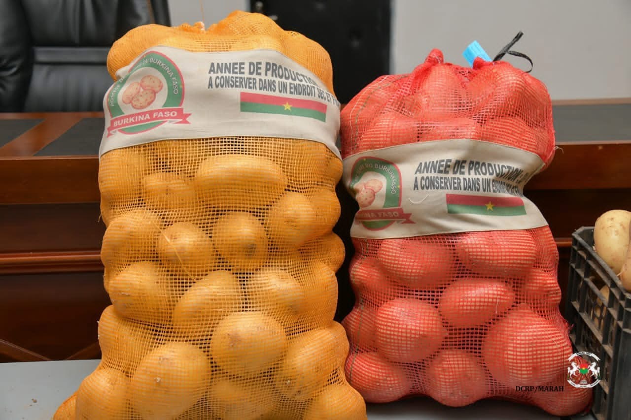 Burkina Faso : Le prix minimum du kilogramme de pomme de terre fixé à 300 F CFA