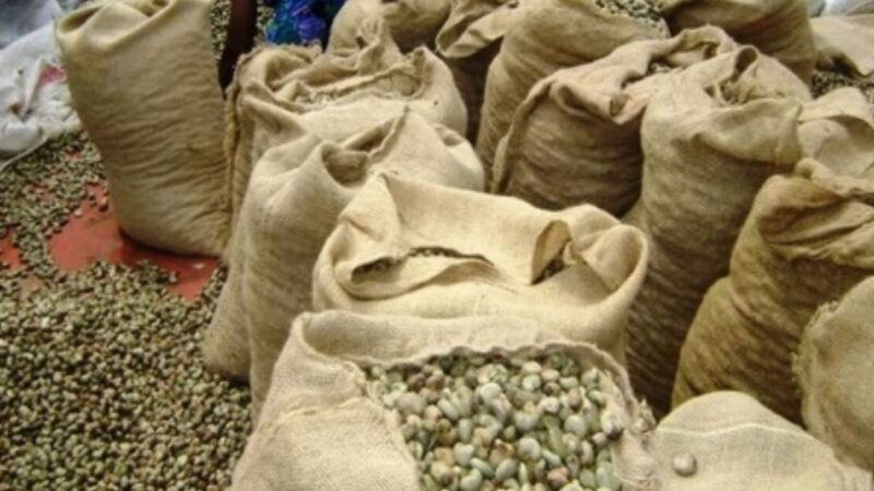 Burkina Faso : L’exportation de la noix brute de cajou suspendue “jusqu’à nouvel ordre” (Communiqué)