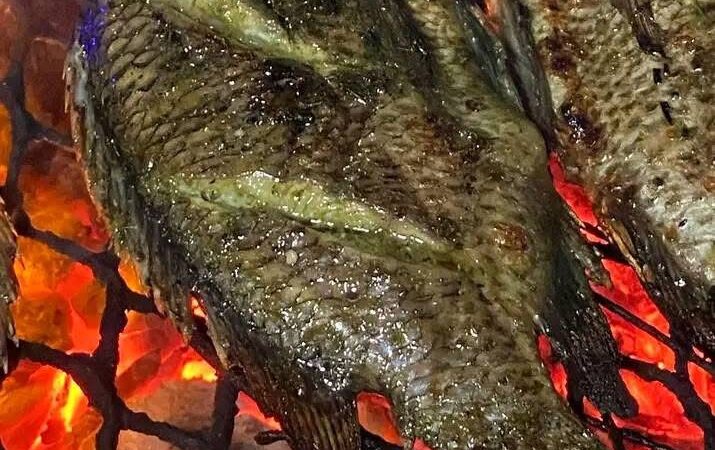 Escroquerie au poisson braisé : Zaki écope de 8 ans de prison ferme à Bobo-Dioulasso