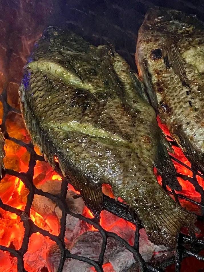 Escroquerie au poisson braisé : Zaki écope de 8 ans de prison ferme à Bobo-Dioulasso