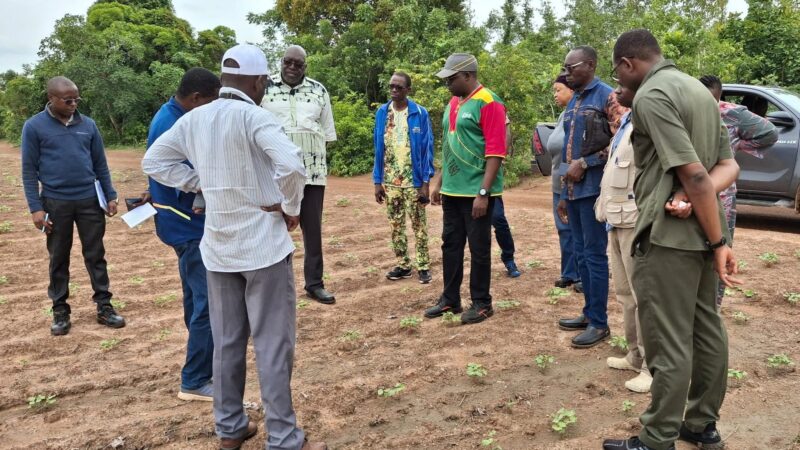 SN Citec SA : Quand l’industrie sème pour récolter l’avenir du coton burkinabè