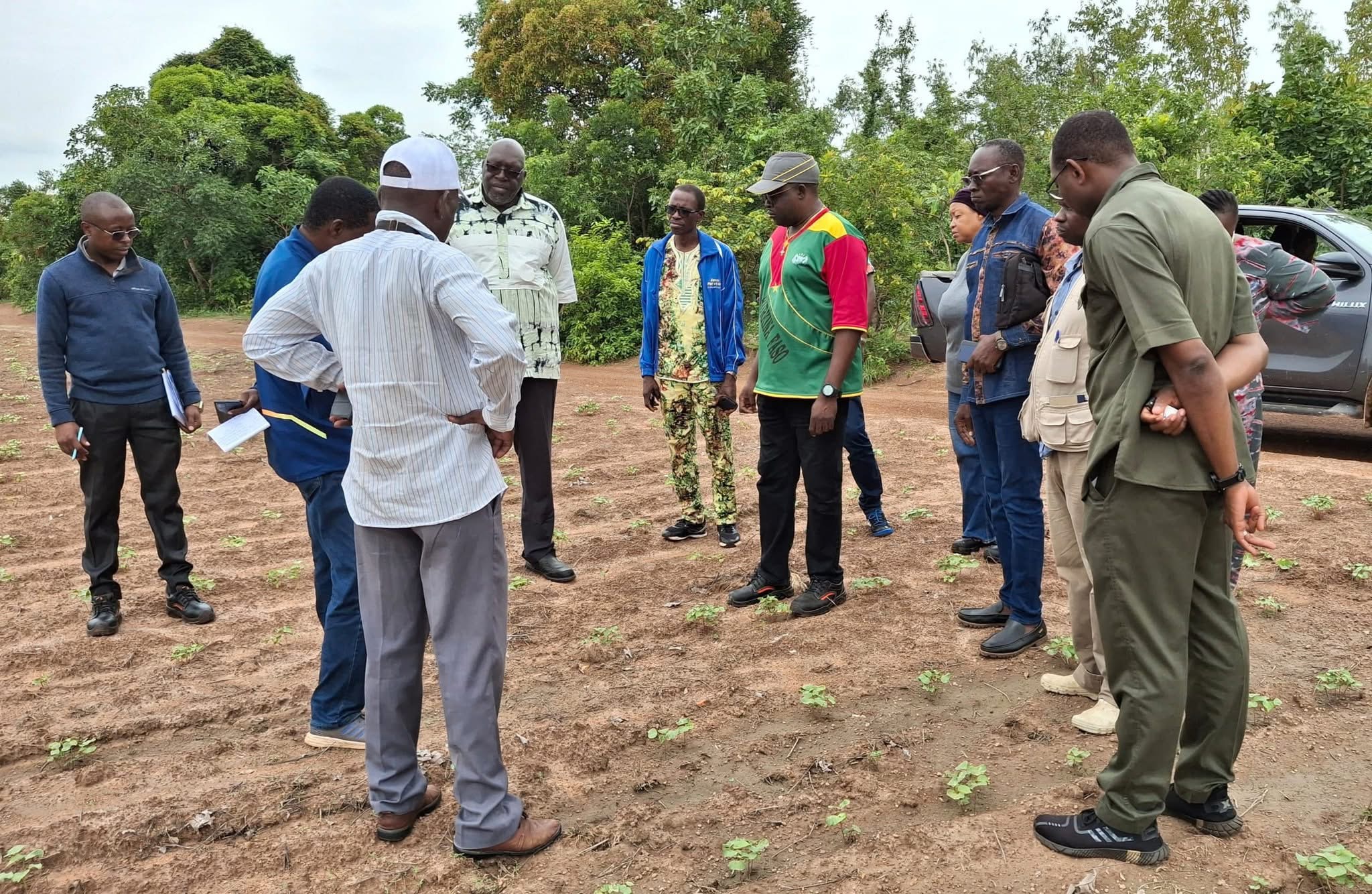 SN Citec SA : Quand l’industrie sème pour récolter l’avenir du coton burkinabè