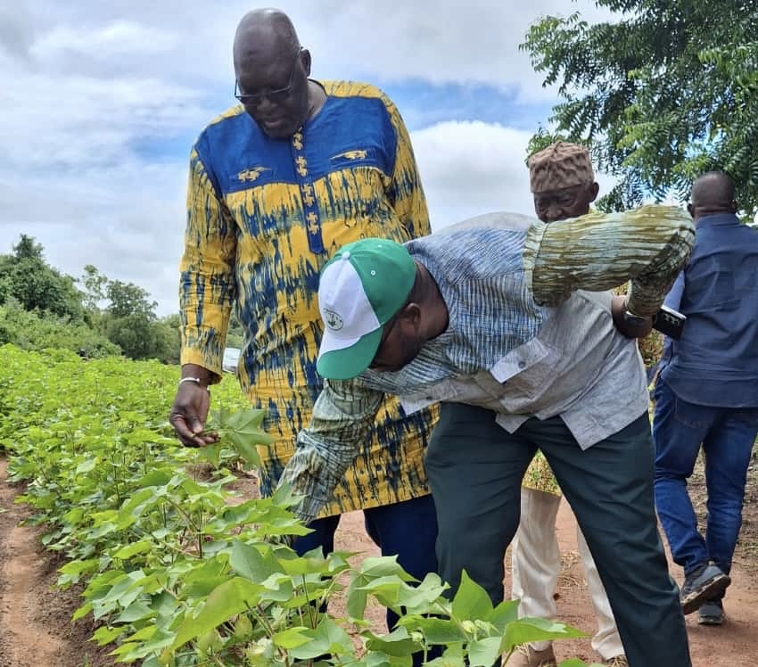 Relance de la filière Coton : Le DG de la SOFITEX séduit par les champs de la SN Citec