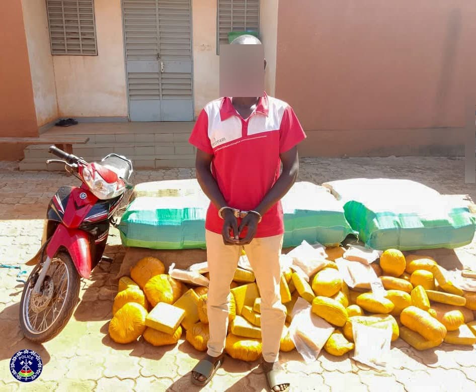Lutte contre le trafic de stupéfiants : La Police Nationale saisit plus de 500 kg de chanvre indien à Kaya et Ouagadougou