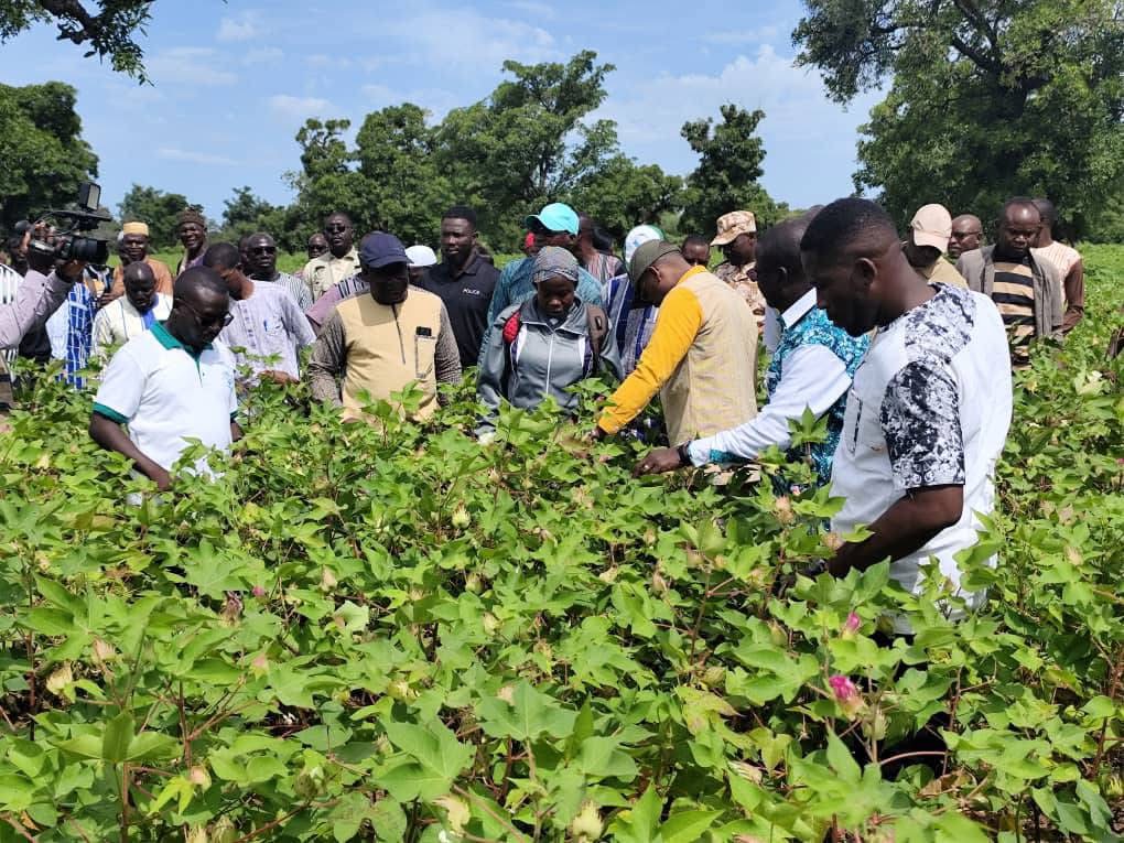 Relance de la filière cotonnière : Le ministre PODA en immersion dans les champs de la SOFITEX