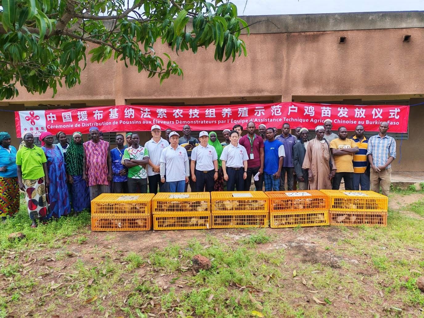 Burkina Faso : la coopération agricole sino-burkinabè donne un nouvel élan à l’élevage villageois