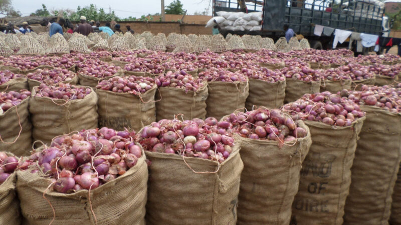 Burkina Faso : un prix minimum garanti de 165 F CFA/kg pour stabiliser la filière oignon