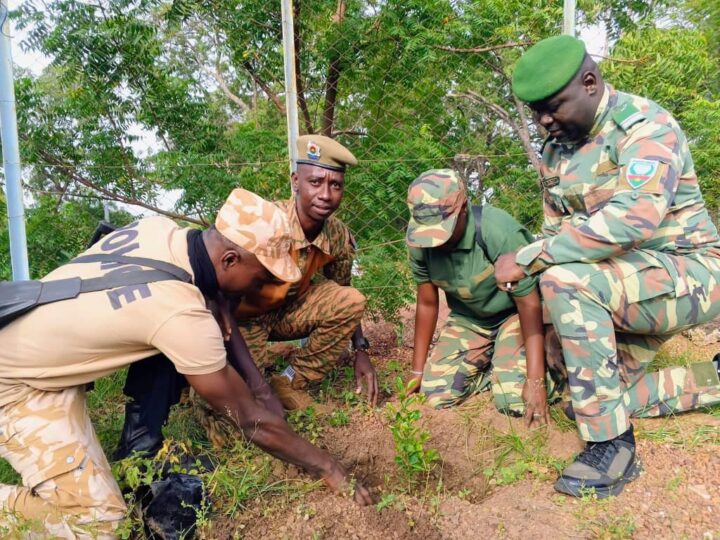 Tuy : avec « Ma concession, mon arbre », les Eaux et Forêts lancent la mobilisation générale pour reverdir le Faso