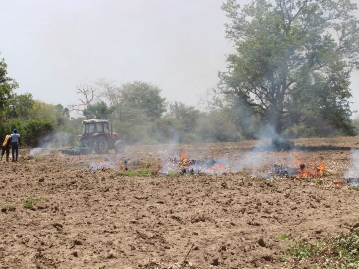 Campagne agricole humide 2026 au Burkina : l’Agropole de Samendéni mise sur plus de 4 000 hectares aménagés pour renforcer la production agricole