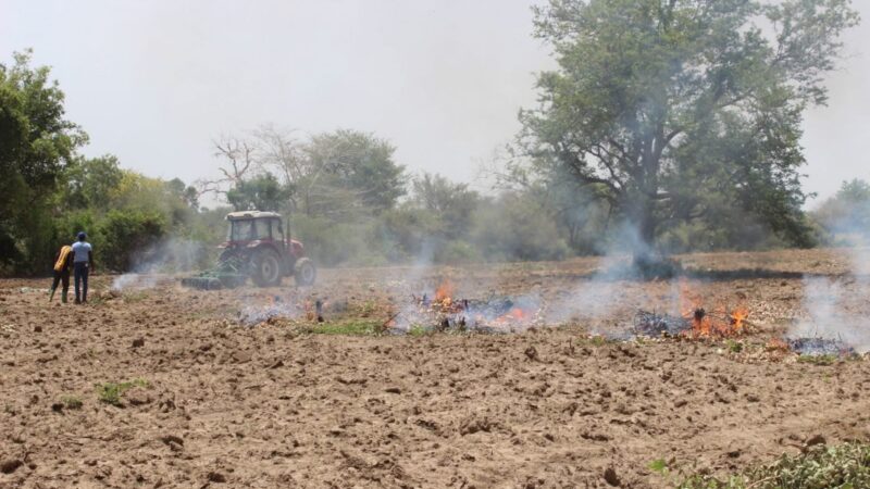 Campagne agricole humide 2026 au Burkina : l’Agropole de Samendéni mise sur plus de 4 000 hectares aménagés pour renforcer la production agricole