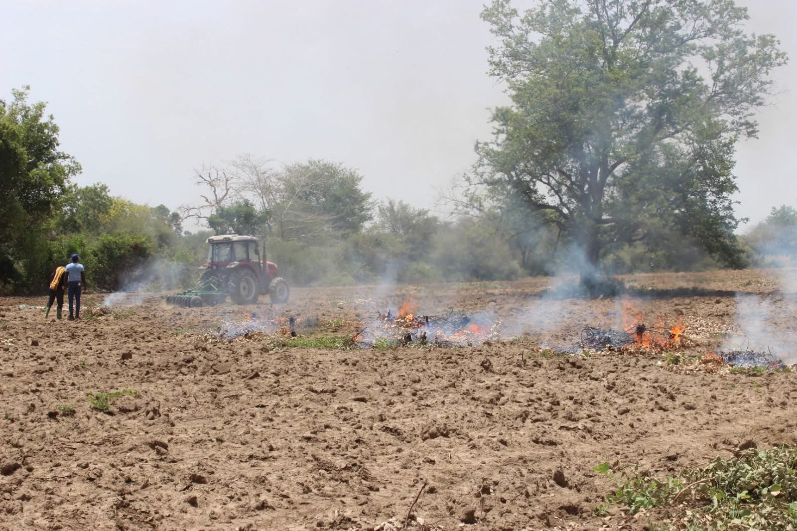 Campagne agricole humide 2026 au Burkina : l’Agropole de Samendéni mise sur plus de 4 000 hectares aménagés pour renforcer la production agricole