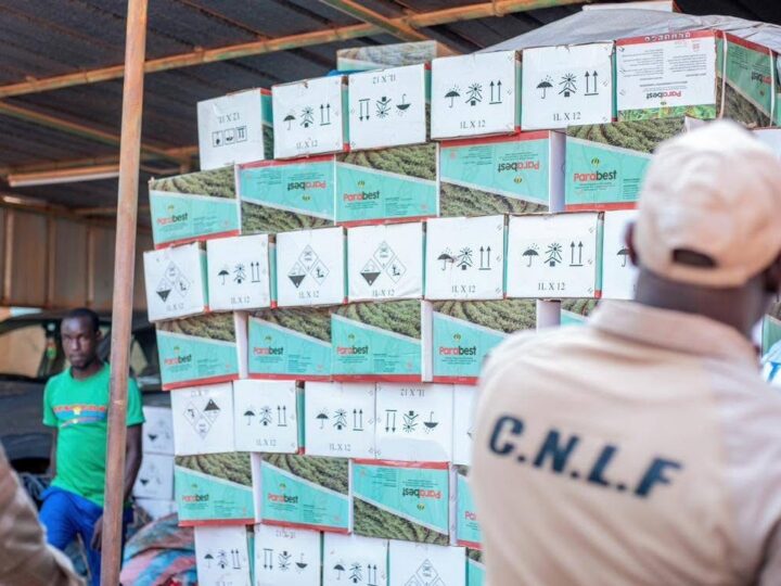 Opération « Samiyan Gnanaman » : plus de 131 millions FCFA de produits frauduleux retirés du marché burkinabè