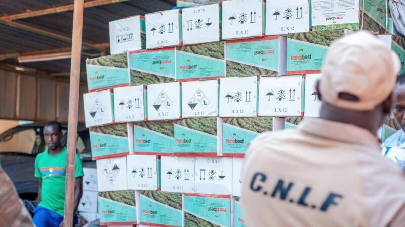 Opération « Samiyan Gnanaman » : plus de 131 millions FCFA de produits frauduleux retirés du marché burkinabè