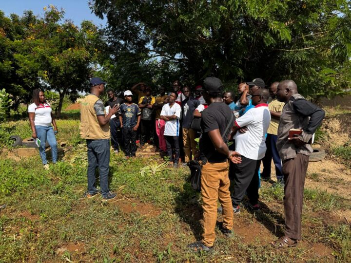 Burkina Faso : La Ferme Djoda forme une nouvelle génération de producteurs